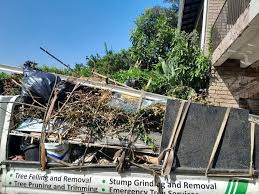 Professional Junk Removal in Clinton, MI